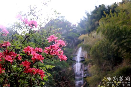 黃龍山頂，風(fēng)景如畫 黃錚 攝_副本.jpg.jpg